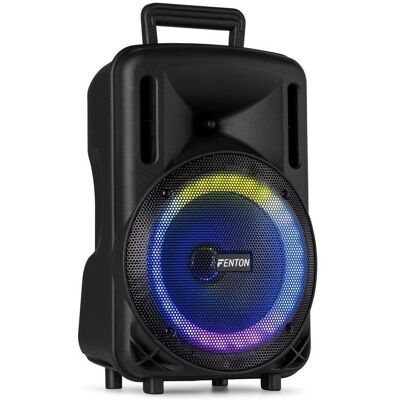 Altavoces Fenton Karaoke Bluetooth 300W con batería y micrófono UHF Altavoces Fenton Karaoke Bluetooth 300W con batería y micrófono UHF