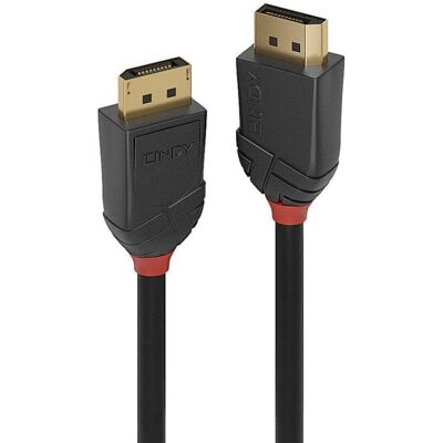 Cable DisplayPort Lindy 36516 - 1m Negro Cable DisplayPort Lindy 36516 - 1m Negro