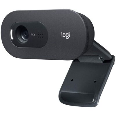 Logitech C505 Webcam HD con Micrófono de Gran Alcance Logitech C505 Webcam HD con Micrófono de Gran Alcance