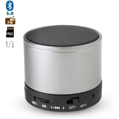 dam-electronics Altavoces Dam Electronics Compactos Bluetooth 3.0 3W con radio FM y manos libres dam-electronics Altavoces Dam Electronics Compactos Bluetooth 3.0 3W con radio FM y manos libres