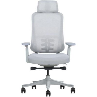 Silla ergonómica Phoenix Lira con estructura de nylon, reposabrazos 3D y soporte lumbar fijo Silla ergonómica Phoenix Lira con estructura de nylon, reposabrazos 3D y soporte lumbar fijo