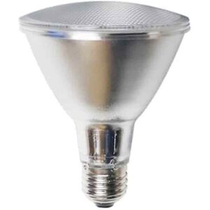 Roblan Bombilla Led Par30 Dimmable E27 13w 4000k  Ledskypar30f