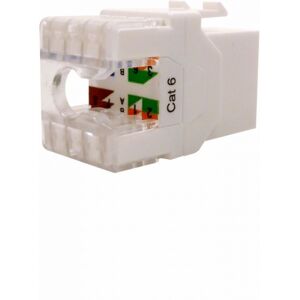 Televes Conector Hembra Rj45 Utp Cat6  209901