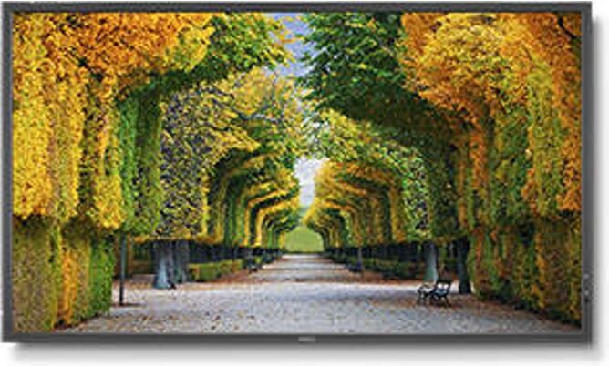 NEC Pantalla de Señalización NEC X554HB (55'' - Full HD - IPS)