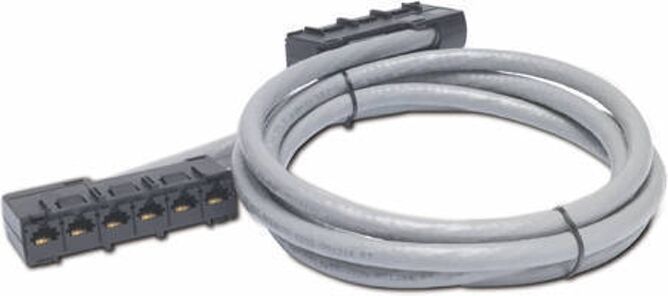 APC Cable de Red APC (RJ45 - Gris) APC Cable de Red APC (RJ45 - Gris)