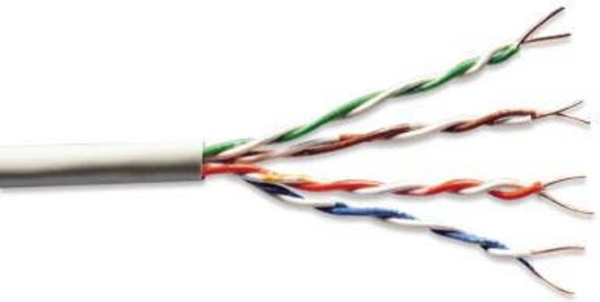 ASSMANN ELECTRONIC Cable de Red ASSMANN ELECTRONIC (RJ45) ASSMANN ELECTRONIC Cable de Red ASSMANN ELECTRONIC (RJ45)