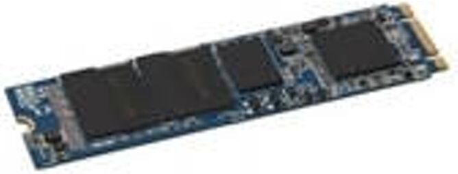 Dell Disco SSD Interno DELL AA615517 (256 GB - M.2 SATA) Dell Disco SSD Interno DELL AA615517 (256 GB - M.2 SATA)