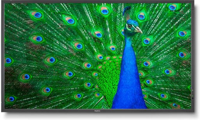 NEC Pantalla de Señalización NEC C651Q (65'' - Ultra HD) NEC Pantalla de Señalización NEC C651Q (65'' - Ultra HD)