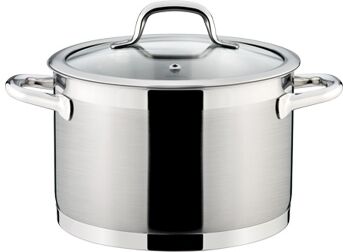 Tescoma olla PRESIDENT con tapa ø 22 cm, 5.5 l