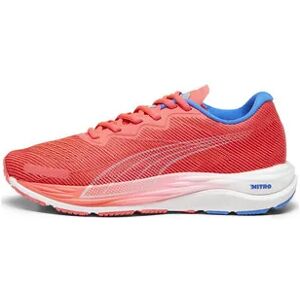 Puma VELOCITY NITRO 2 - Zapatillas de running mujer fire orchid/ultra blue