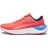 Puma ELECTRIFY NITRO 3 - Zapatillas de running mujer fire orchid/ultra blue