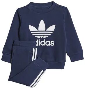 Adidas Originals CREW SET - Conjunto Chaqueta + PantalÃ³n de chaqueta junior nindig