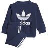 Adidas Originals CREW SET - Conjunto Chaqueta + PantalÃ³n de chaqueta junior nindig