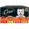 Cesar Selección Clasicos Tarrina en Paté para Perros - Multipack