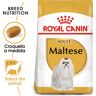 Royal Canin Adult Bichón Maltés pienso para perros