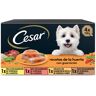 Cesar Recetas de la huerta Tarrina en Paté y Gelatina para Perros - Multipack