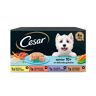 Cesar Carnes Mixtas Tarrina en Gelatina para Perros Senior - Multipack