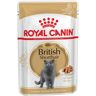 Royal Canin Sobre en Salsa British Shorthair Adult