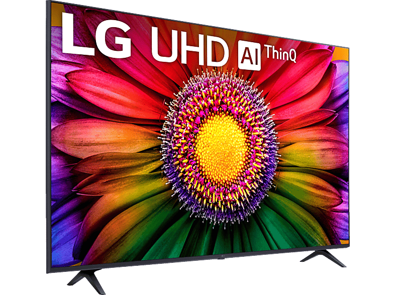 TV LED 65" - LG 65UR80006LJ, UHD 4K, Inteligente α5 4K Gen6, Smart TV, DVB-T2 (H.265), Azul Ceniza