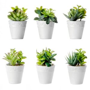 LOLAhome Set de 6 plantas artificiales Cactus de plástico y porcelana blanca de Ø 6x11 cm