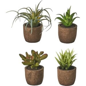 LOLAhome Set de 4 plantas artificiales cactus de plástico con maceta de pasta de papel de Ø 6x10 cm