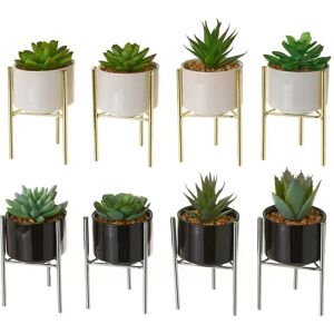 LOLAhome Set de 8 plantas artificiales cactus de plástico con maceta de porcelana de Ø 8x18 cm