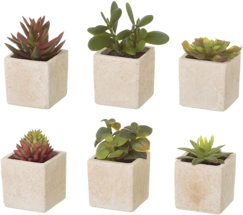 LOLAhome Set de 6 plantas artificiales Cactus de plástico beige de 5x5x9 cm