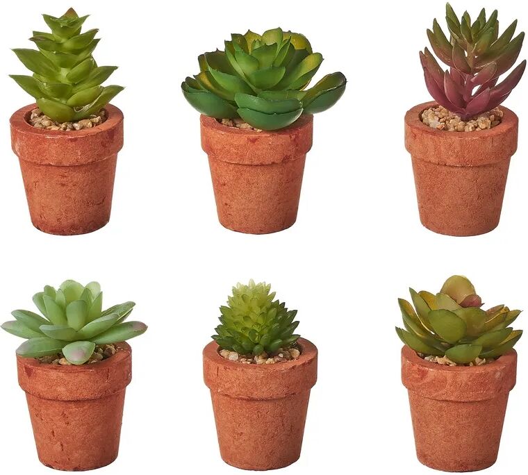 LOLAhome Set de 6 plantas artificiales de cactus con maceta de pastade papel terracota