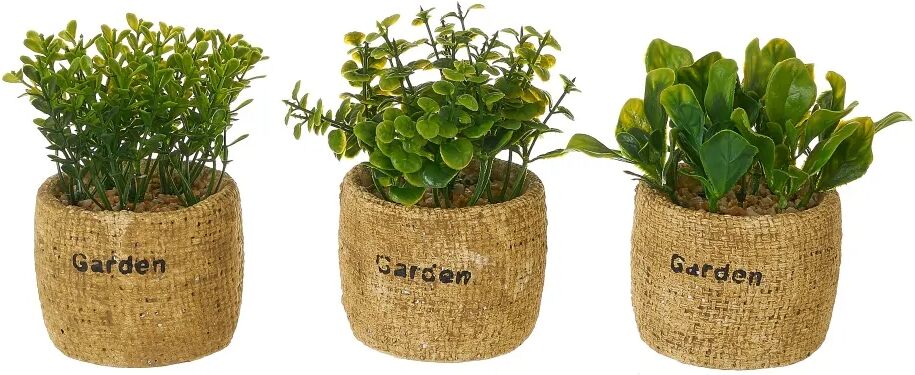 LOLAhome Set de 3 plantas artificiales con maceta de cesta marrón decemento de Ø 11x15 cm