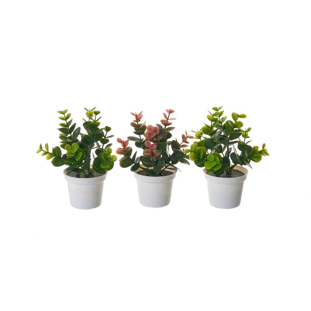 LOLAhome Set de 3 plantas artificiales con maceta blanca de plásticode Ø 12x17 cm