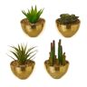 LOLAhome Set de 4 plantas artificiales Cactus de plástico y porcelana dorada de Ø 12x17 cm
