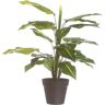 LOLAhome Planta artificial Diefembaquia con macetero verde de PVC de 45 cm