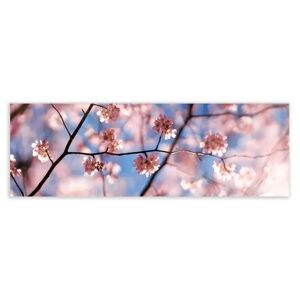LOLAhome Cuadro cabecero de rama fotoimpreso sobre lienzo rosa y azul de 180x60 cm