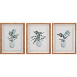 LOLAhome Set de 3 cuadros de planta lámina de cristal y lámina de papel gris