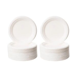 LOLAhome Set de 100 platos desechables biodegradable blancos de cañade azúcar de Ø 22 cm