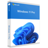 Microsoft Windows 11 Pro