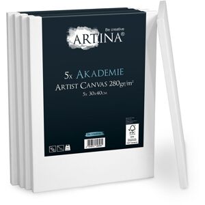 ARTINA Set de 5 lienzos Blancos Akademie con certificación fsc® - 100% algodón Lienzo y Bastidor Blancos 280g/m² 40x30x9.0 cm - Artina