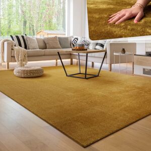 Paco Home - Alfombra para la sala de estar Unicolor Lavable Suave pila corta 60x100 cm, Amarillo - Amarillo