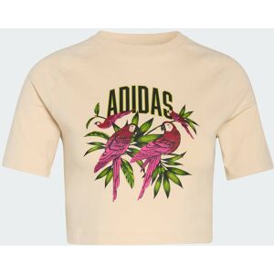 Camiseta Corta Estampada adidas X Farm Rio adidas MKP Camiseta Corta Estampada adidas X Farm Rio adidas MKP