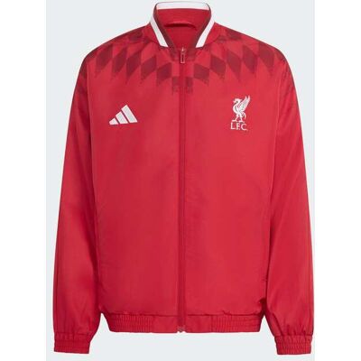 adidas Liverpool Fc Stadium - Chaqueta Niño MKP adidas Liverpool Fc Stadium - Chaqueta Niño MKP