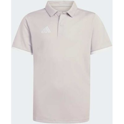 Polo Entrada26 adidas MKP Polo Entrada26 adidas MKP