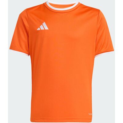 Camiseta Entrada26 adidas MKP Camiseta Entrada26 adidas MKP