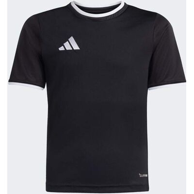 Camiseta Entrada26 adidas MKP Camiseta Entrada26 adidas MKP