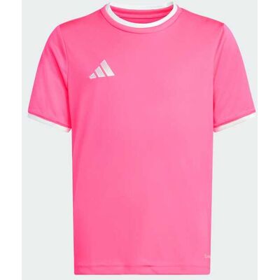Camiseta Entrada26 adidas MKP Camiseta Entrada26 adidas MKP