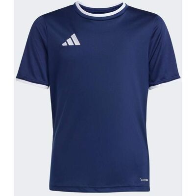 Camiseta Entrada26 adidas MKP Camiseta Entrada26 adidas MKP