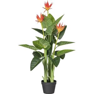 kaiserkraft Guzmania, naranja, en maceta de plástico, altura 1050 mm