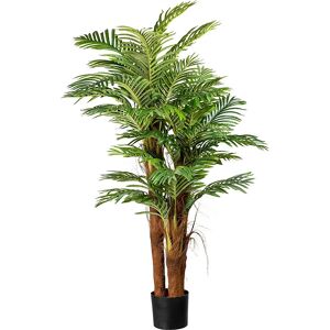 kaiserkraft Palma Areca con tronco de coco, altura aprox. 1600 mm, en maceta de plástico con tierra