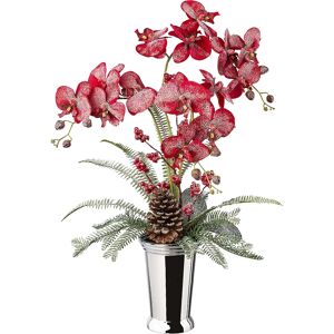 kaiserkraft Arreglo de Phalaenopsis en jarrón de cerámica, altura total 700 mm, rojo