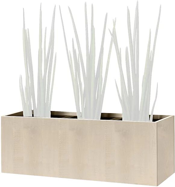 kaiserkraft Recipiente para plantas, a la altura de las rodillas, para 3 plantas, decoración de arce