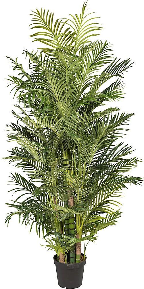 kaiserkraft Palmera areca, real touch, en maceta de plástico, altura 2200 mm